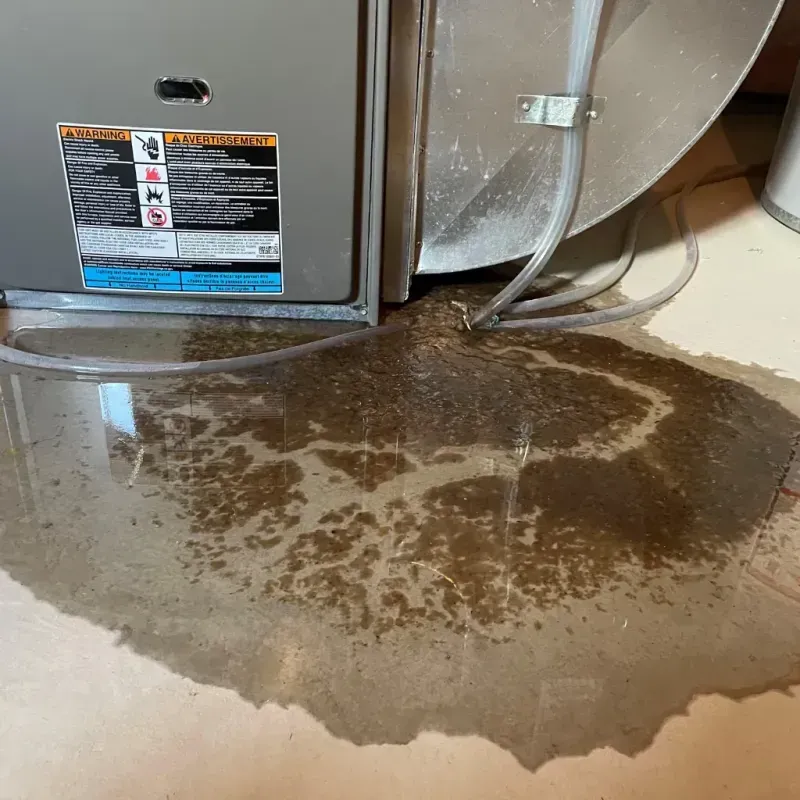 Appliance Leak Cleanup in Highmore, SD